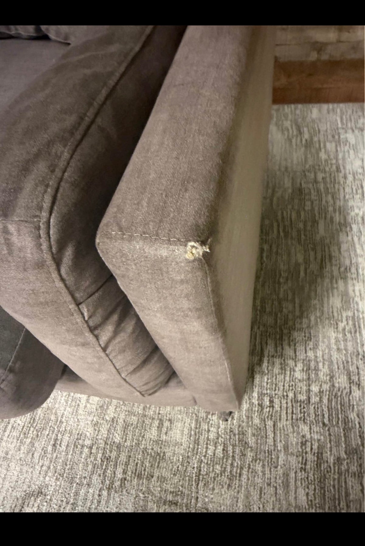 Modern Gray Couch